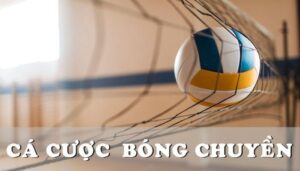 Cá cược bóng chuyền 79King là gì?